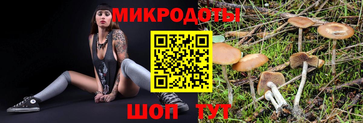 Псилоцибиновые грибы GOLDEN TEACHER Лениногорск