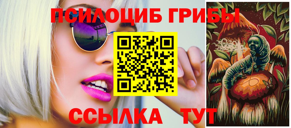 Псилоцибиновые грибы MAGIC MUSHROOMS  Вход с VPN  Лениногорск 